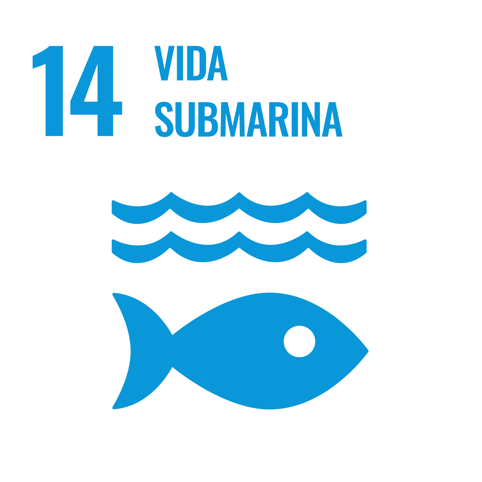 14 Vida Submarina