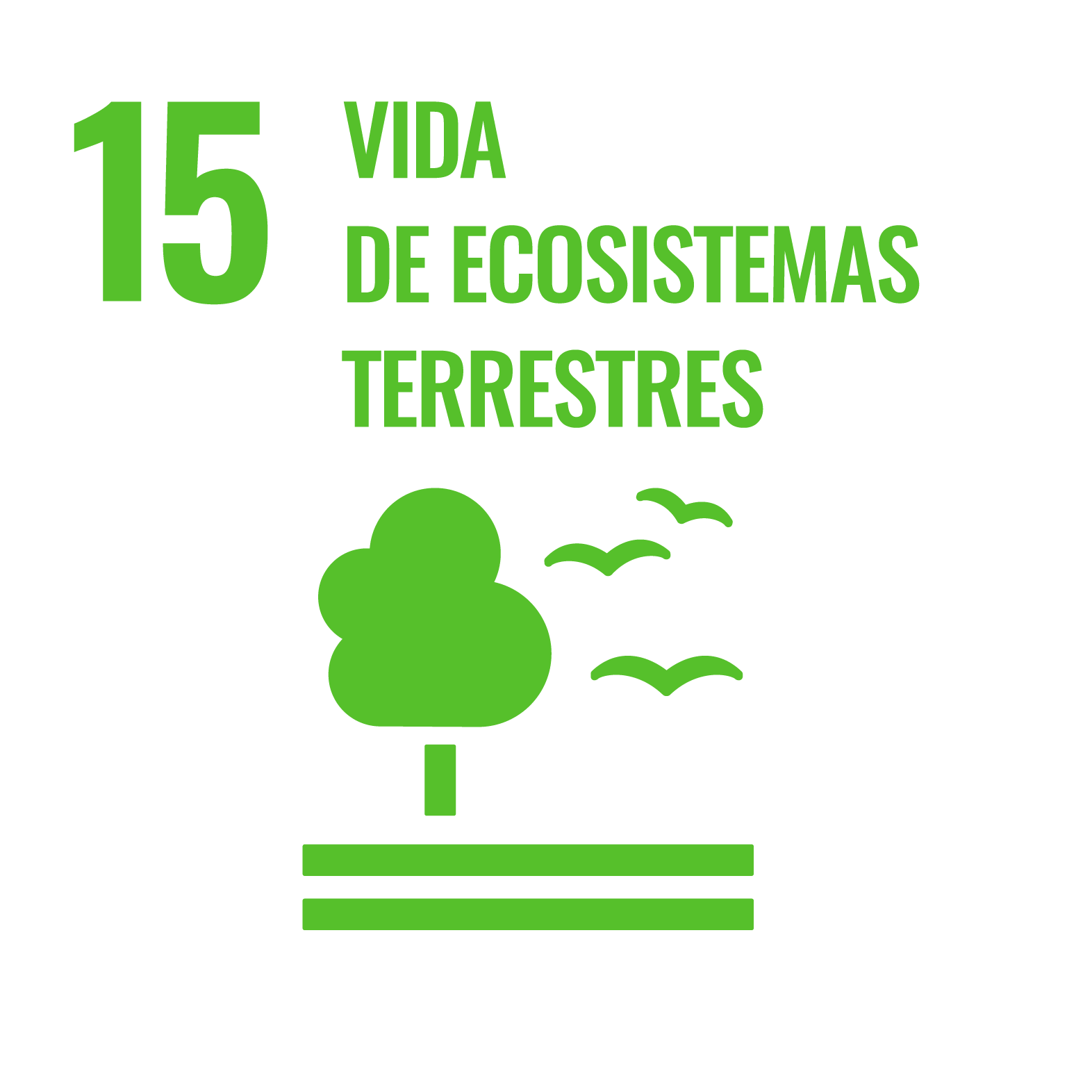 15 Vida de Ecosistemas Terrestres